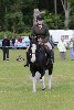 thornton-le-dale-gala showclass7acharity25-5-20145